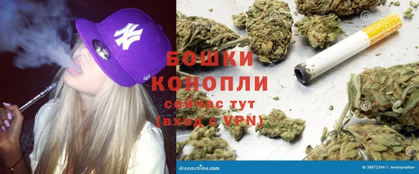 apvp Горняк